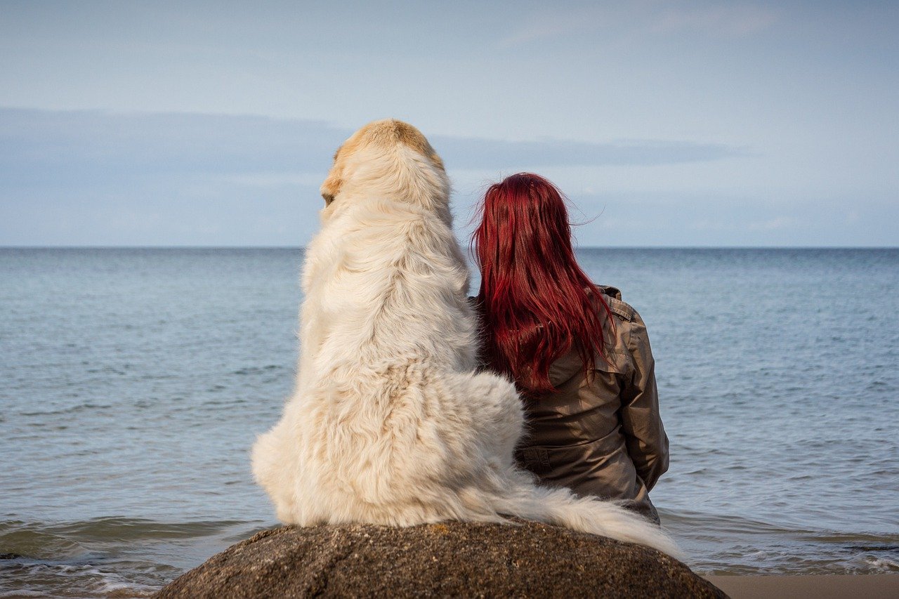 ペットテックとは何か？ 飼い犬や猫の世話から健康管理まで役立つ商品7種類
